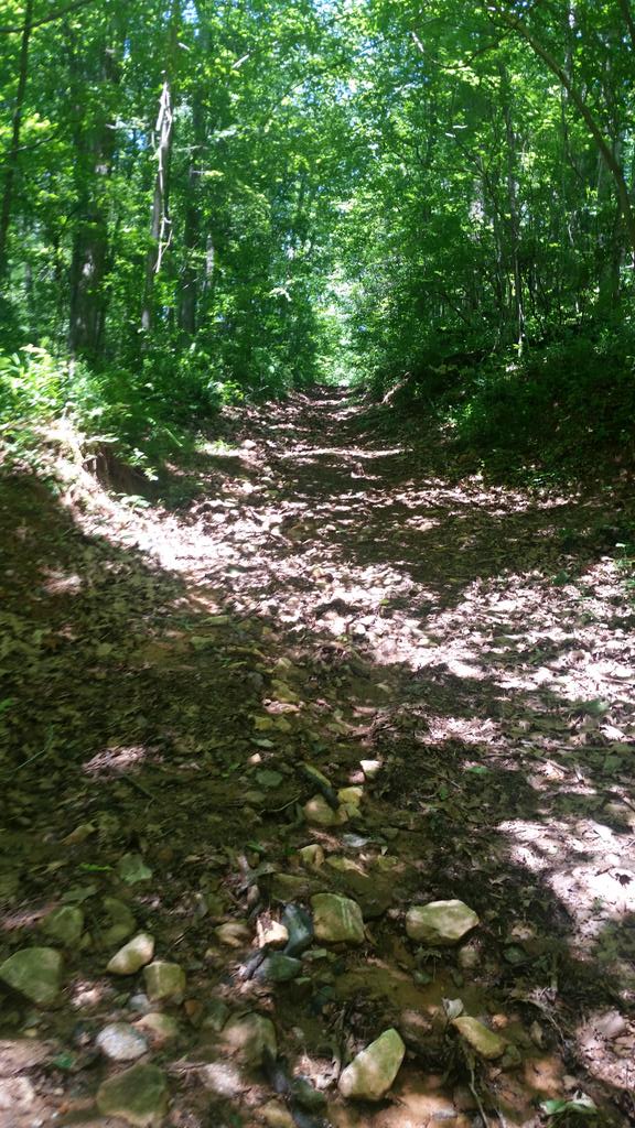 JP_CROW14's tweet photo. @MurphyBirthday , @TrainAtElevate , @TheLacesWereIn #thatsmycoach #firetrails #chasetherabbit http://t.co/gUmIo8AKbG