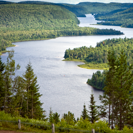 Molson_Canadian tweet picture