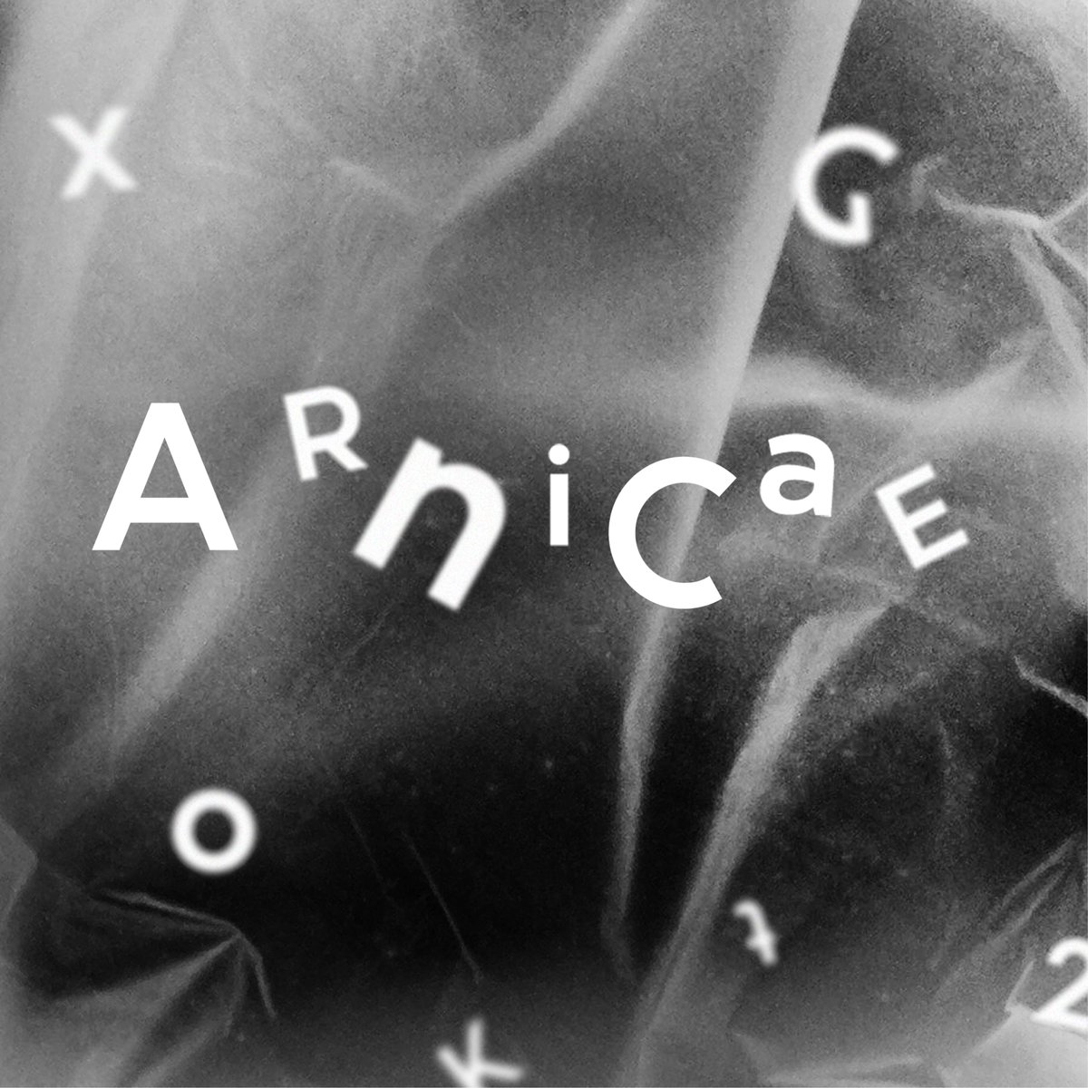 We just published Arnicae, a geometric sans serif font designed by Mike Leithner ultratypes.com/product/arnicae