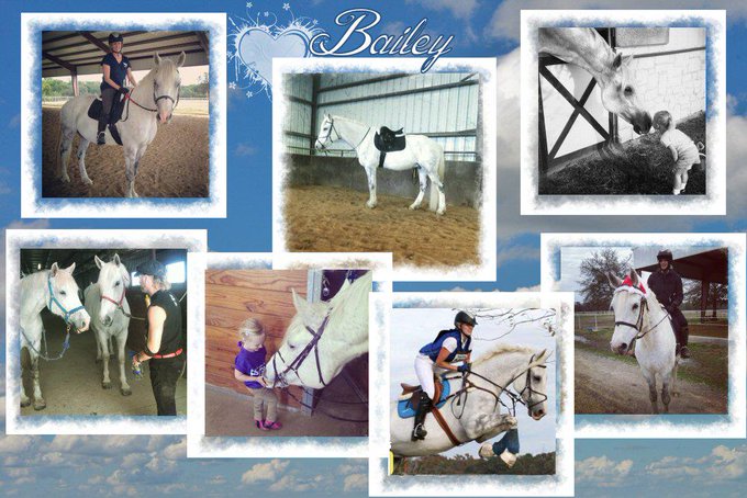 One of my awesome fans made this and sent it to me. I love it! How many times am I gonna cry in one day<a href="/tag/fan"class="tags"><span>#fan</span></a>