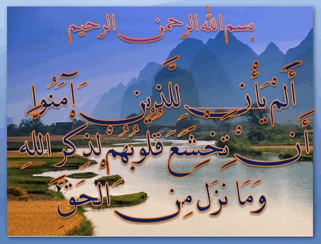 Bint_ElBalad's tweet photo. http://t.co/qGXgxILu3I