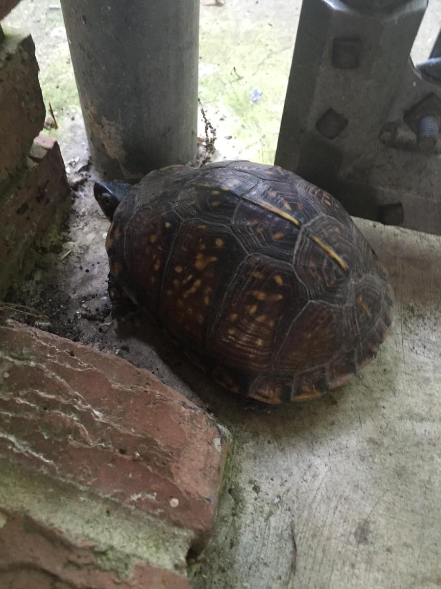 PHBCArkadelphia's tweet photo. Small groups are going a little slow tonight. http://t.co/5o1mXVNfW1