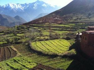 heartofmorocco's tweet photo. #bestofmorocco"@MoroccoTravels: #Hiking in #Morocco, Morocco’s Best Kept Secret Treks http://t.co/4Zw1kUoeS1… http://t.co/VcZjgdkmGZ"