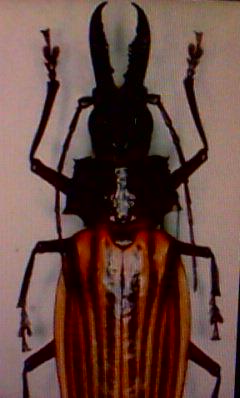 zower5505 tweet picture