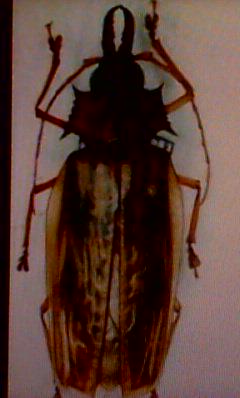 zower5505 tweet picture