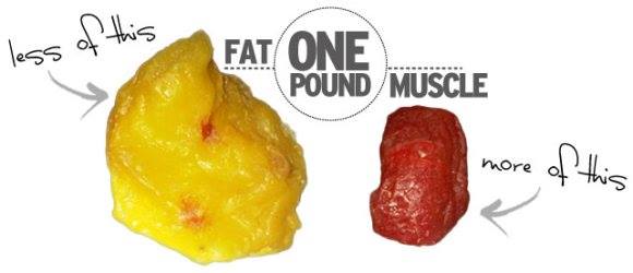 ABZnation's tweet photo. strengthen and build your muscles and stimulate fat loss through training and diet #eatclean #fitness #AlphaNutrition http://t.co/0eJG1HNKJX