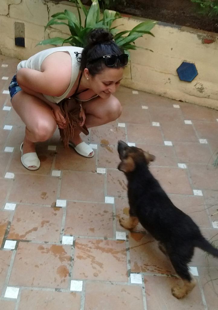 IsaAbenia's tweet photo. ¡Leia! 😍🐕😘 http://t.co/Jw6VBPRMjJ