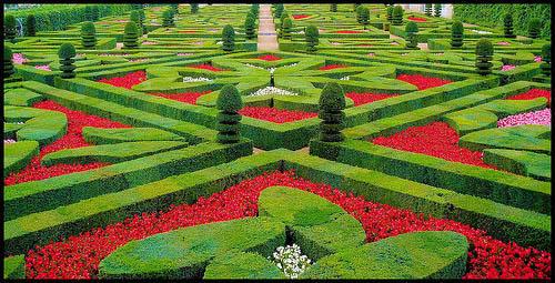 Heat wave coming BMAS can arrange for your communal gardens to look stunning all seasons, see blockmanagementservices.co.uk