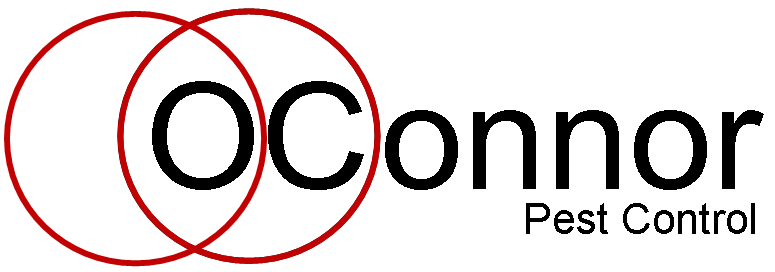 oconnorpest1's tweet photo. #stockporthour hello all from @oconnorpest1 http://t.co/s5oaUQ0TVH
