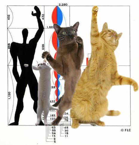loouisfernandes's tweet image. Si vous aimez les #chats et l&apos;architecture...
#Catchitecture #Lolcats 

furrrocious-forms.tumblr.com