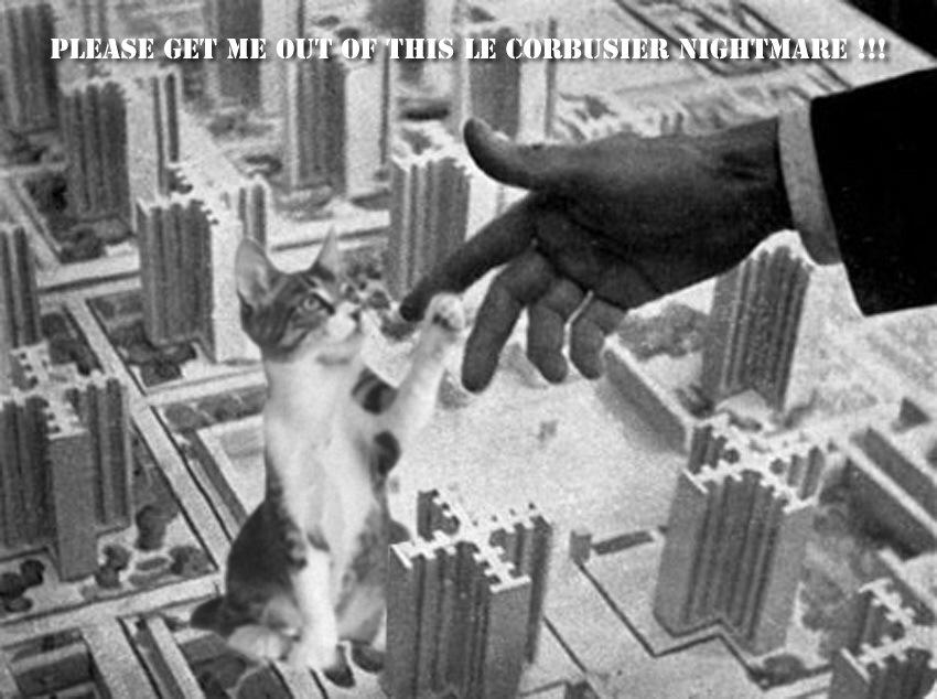 loouisfernandes's tweet image. Si vous aimez les #chats et l&apos;architecture...
#Catchitecture #Lolcats 

furrrocious-forms.tumblr.com