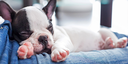 Sharing the cuteness. Happy Friday everyone! #tgif #cute #weekend