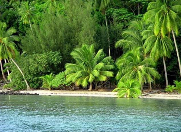 IovesNature's tweet photo. Fav if you would go there! http://t.co/u0hHerqt4p