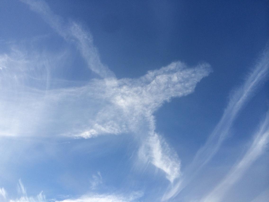 RobsonAlly's tweet photo. Cloud penguin http://t.co/6KkF2O0q52