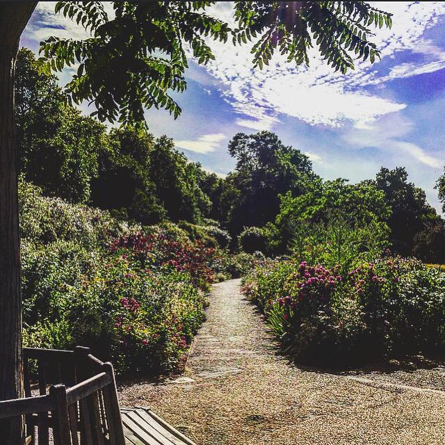 curiositymaluli's tweet photo. Los jardines ingleses son los mejores. Me gusta mucho más el desorden,sobre todo en la naturaleza.Hyde Park, Londres. http://t.co/FJ5U2x0kxY