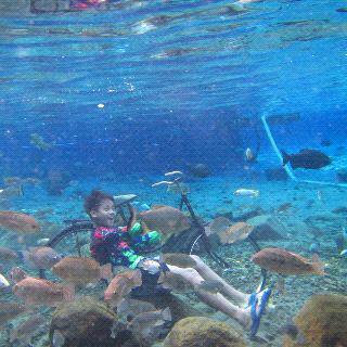 uhmargana's tweet photo. Gokil! @Kuliner_SKH @VisitJawaTengah @JATENGUpdates @Klaten_Oke @JatengTwit @dotsemarang @JATENGUpdates @desianwar http://t.co/HAzl7qkPF0