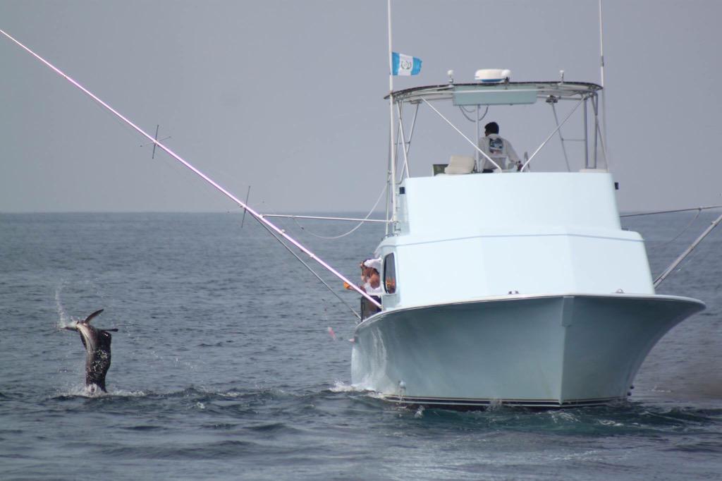 CaptHookFish's tweet photo. Boat out of the water.  Ready to go at it again in a few months.  Reserve your spot now.  #capthookfish #billfishing http://t.co/yUPvNZuSxU