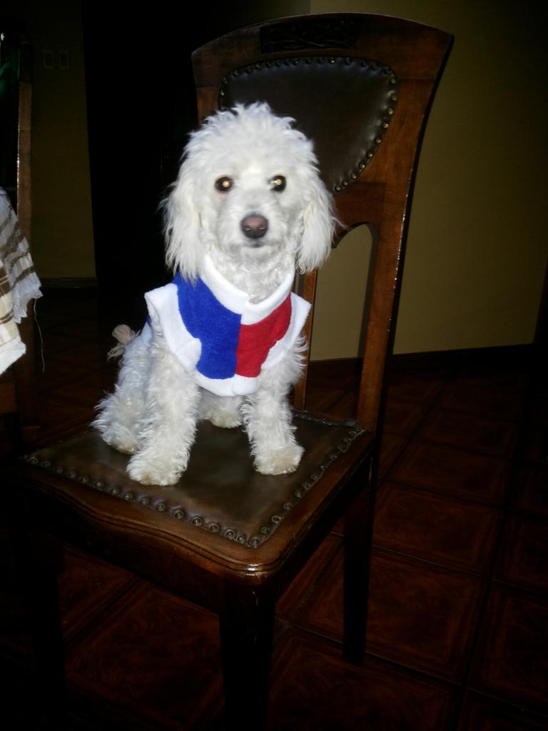maxpoblete90's tweet photo. #somoslocalesen tvnLukas de Concepcion...vamos Chilito que se puede... http://t.co/UHnMHZcmKX