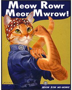 renegade_roo's tweet photo. #FelinePride http://t.co/qxMD3hkxRQ