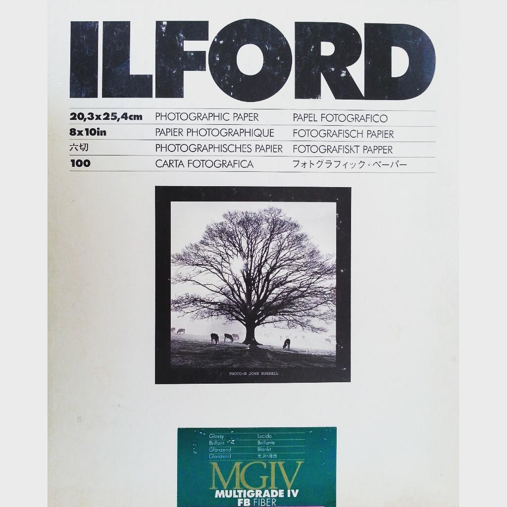 damianbenetucci's tweet image. Darkroom

#Ilford #multigrade #fiber #photos #photographer #pictures #photooftheday #development #film #frames