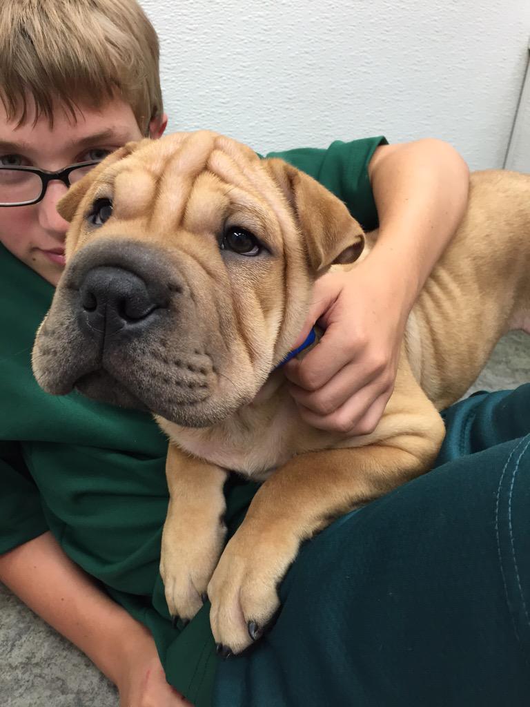 SnyderAsh's tweet photo. May or my it have picked this guy up today http://t.co/jo09PphfCi