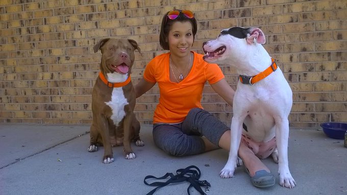 My kids have 8 precious paws put together http://t.co/i83XmFOdnp
