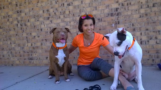 My kids have 8 precious paws put together http://t.co/i83XmFOdnp
