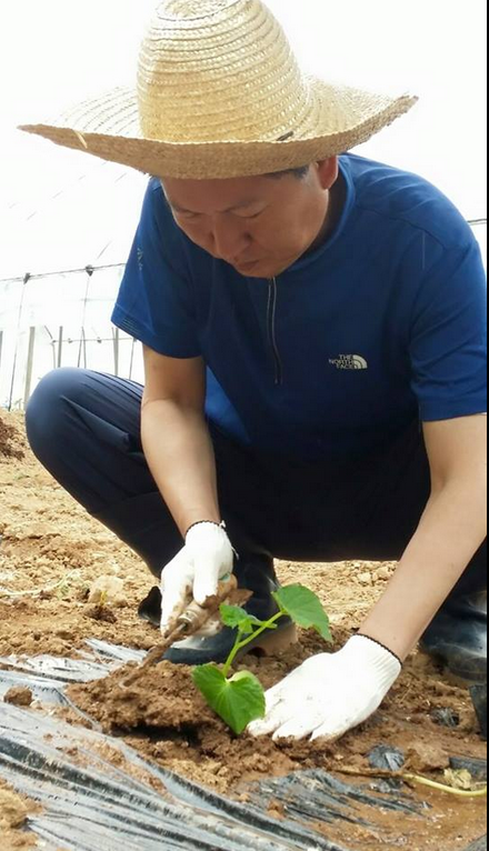 <징계가 내려지던 날>나는 미용실에서 머리를 깎고 텃밭에 가서 오이, 고추를 심었다. 땅은 흘린 땀방울에 대한 보답을 할것이라 믿고 삽과 호미를 들었다. 외로움을 대지에 적셨고 땅은 받아줬다. 땅에 감사한다.