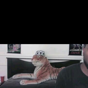 rovens_pascal's tweet image. Check out my #Vidstitch!