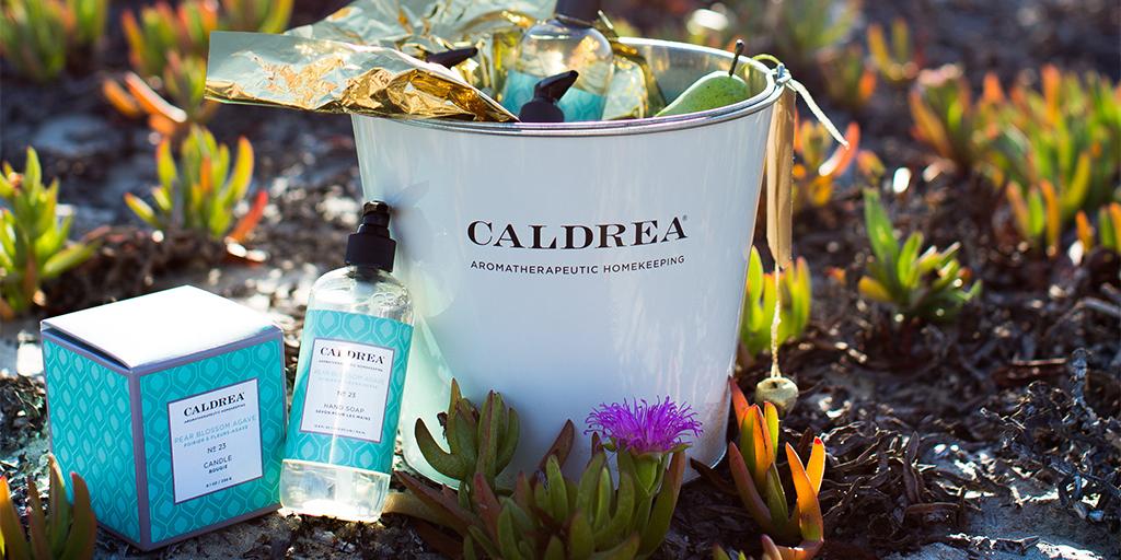 Caldrea tweet media