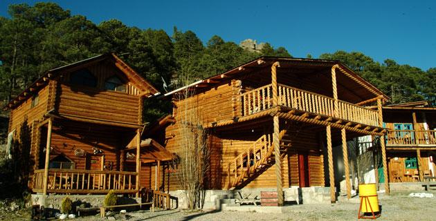 Mérida DunBroch tweet media