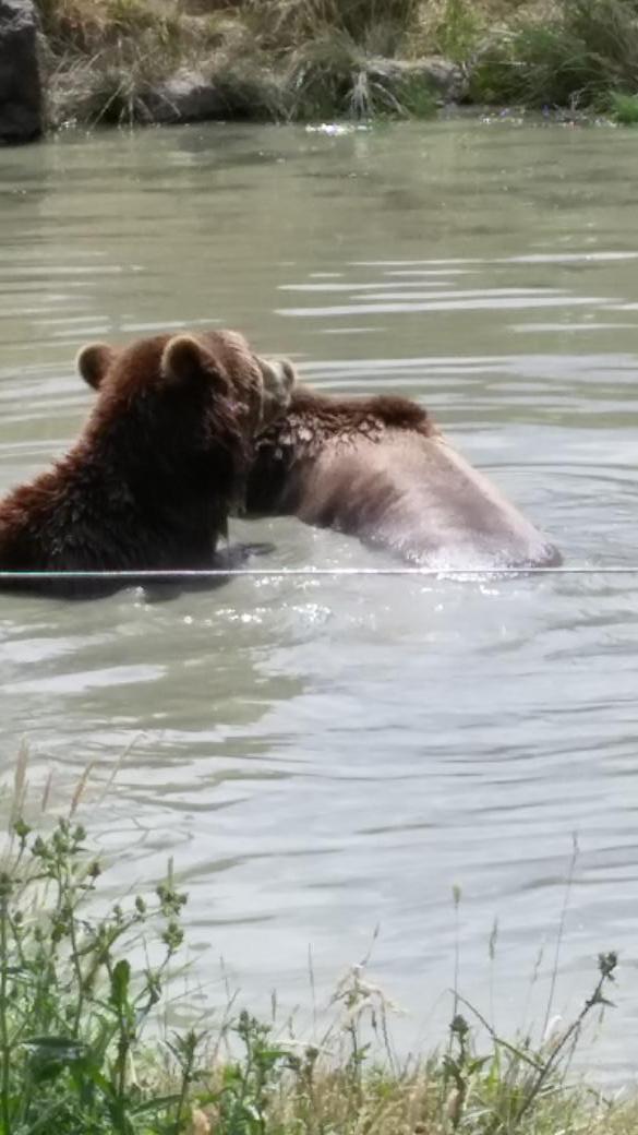 dean anderson tweet media