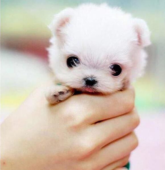 CHINAOB180's tweet photo. Sleep well http://t.co/7bcGcbZjJ7