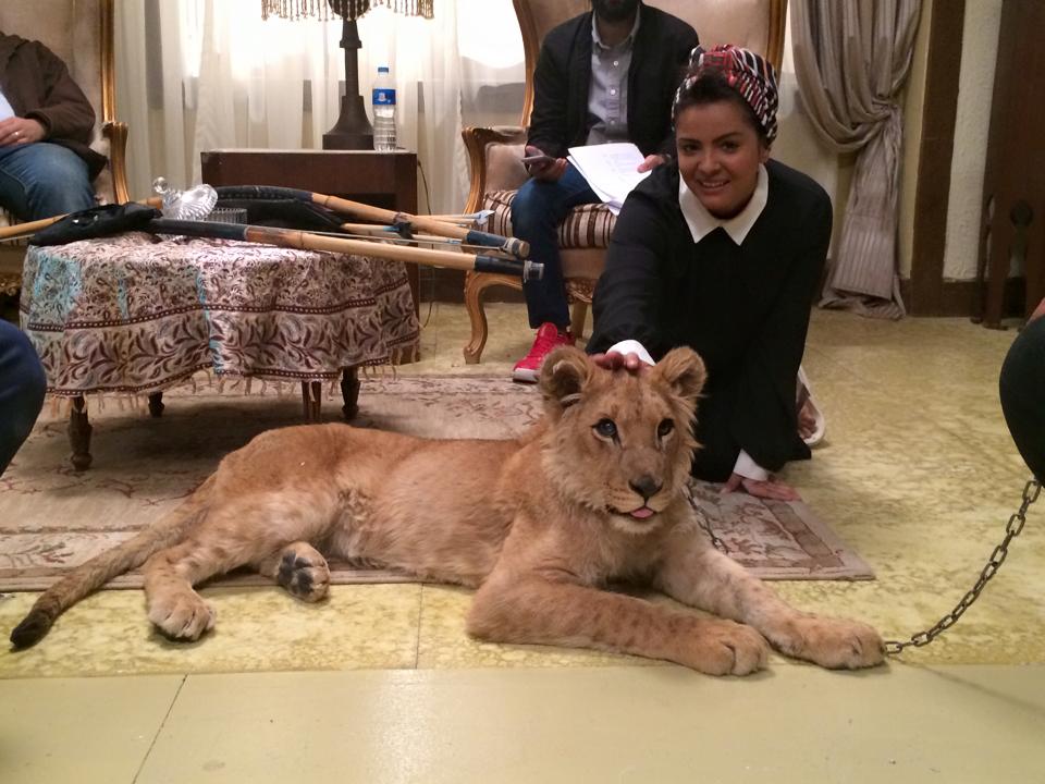 ssaally12's tweet photo. ده من أعز أصدقائي هههههههههههههههه http://t.co/pTcskU9JPt