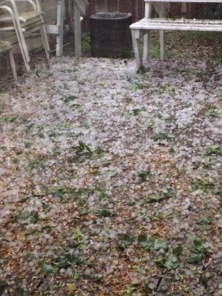 KirbyPug's tweet photo. Holy hail batman. I'm not a fan of it. #scaredpug #pug http://t.co/CUNq9r4700