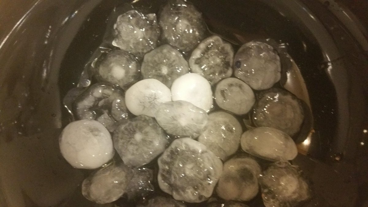 Janmandy's tweet image. Hail in Eastern Brooklyn Park, MN @ 7:15 pm. #hail #mnwx @ian_leonard