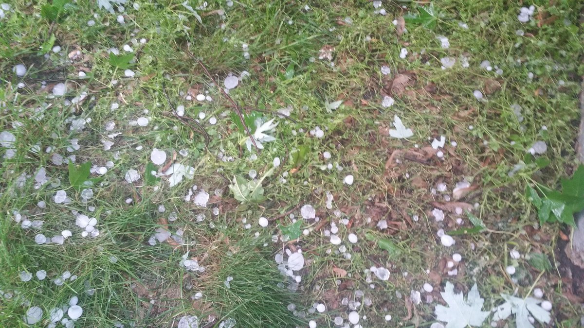 Janmandy's tweet image. Hail in Eastern Brooklyn Park, MN @ 7:15 pm. #hail #mnwx @ian_leonard
