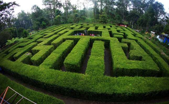 islandnesia's tweet photo. Feel The Excitement of Real Maze at Coban Rondo, Malang, East Java #nature #travel #islandnesia http://t.co/0q5dFQ2ZLx