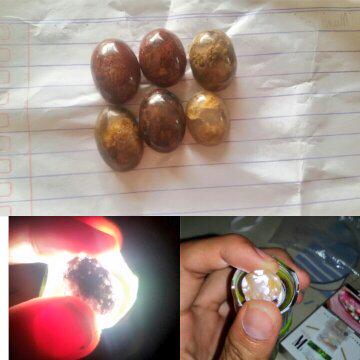 Lumut suliki/aquarium 50rb/pcs info lanjut cp 089512771355,pin:554F57A5 <a href="/HMoelyana/">Grue</a> <a href="/Akikonline/">Batu Akik Online</a> <a href="/BatuGambar/">Batu Gambar | Akik</a> <a href="/akiktiga/">akiktiga</a>