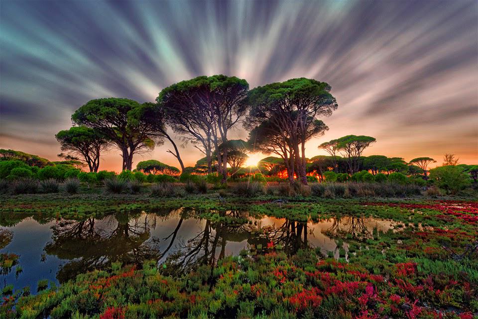 photo98765's tweet image. sunset-at-swamp by mosawir