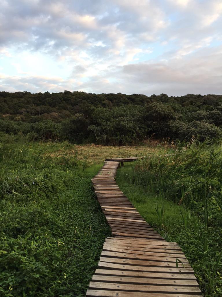 nataliedecanha's tweet photo. How is it possible to see this much magic in one morning? ๐๐ #runbunny #7amadventures http://t.co/aPo1hSGOgU