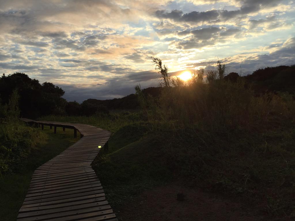 nataliedecanha's tweet photo. How is it possible to see this much magic in one morning? ๐๐ #runbunny #7amadventures http://t.co/aPo1hSGOgU