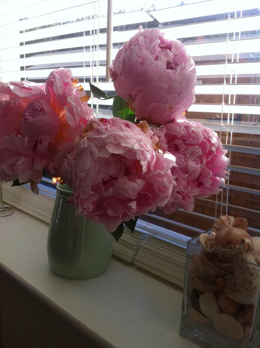 Without doubt the most beautiful flower in the world. Pure perfection.