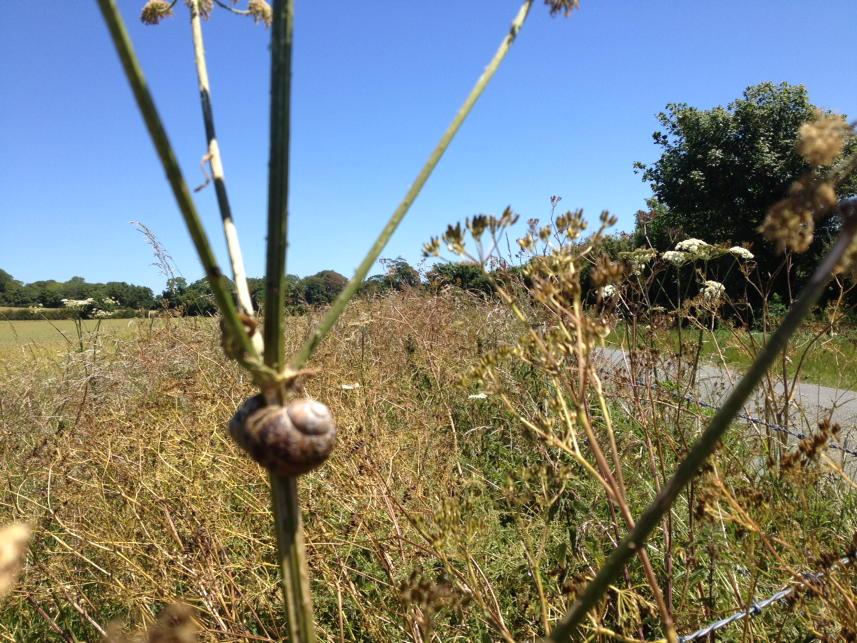 rjandersphoto's tweet image. Faster than a speeding snail on fast hot cycle ride. #peestop #27C