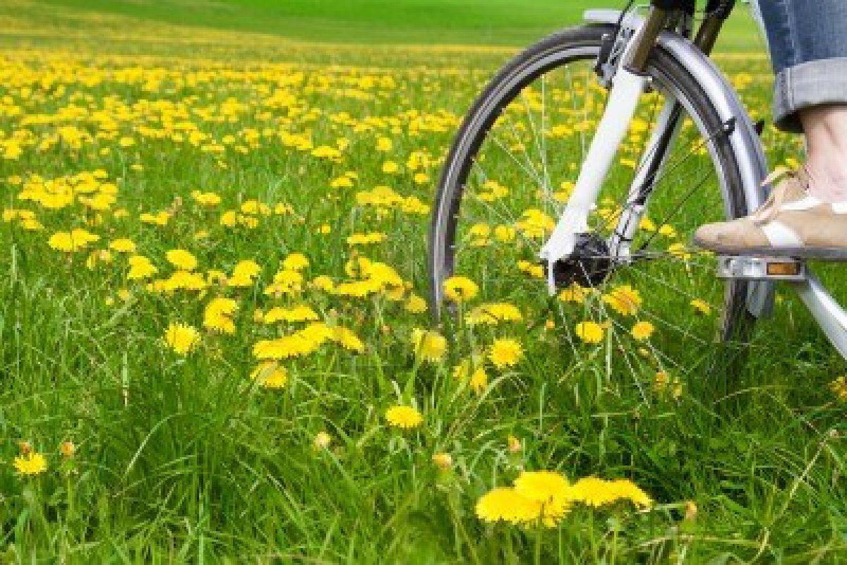#relax #bicycle #estateindiretta#@DolomitiFVG alla scoperta di un territorio incontaminato