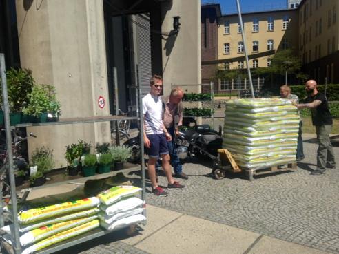 susn's tweet image. Nur essbares! Minze, Thymian, Erdbeeren - @ #pflanzsäule-tubs