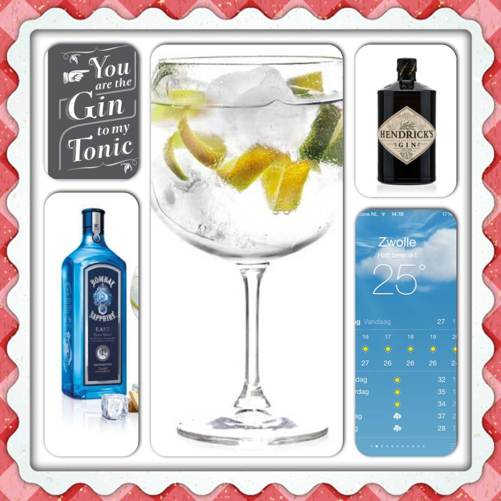 RachelBBF's tweet photo. Tropische temperaturen☀️ Kom op het terras @BonneFemme038 genieten van een verfrissende gin&amp;tonic! http://t.co/Tl5L26IEhK