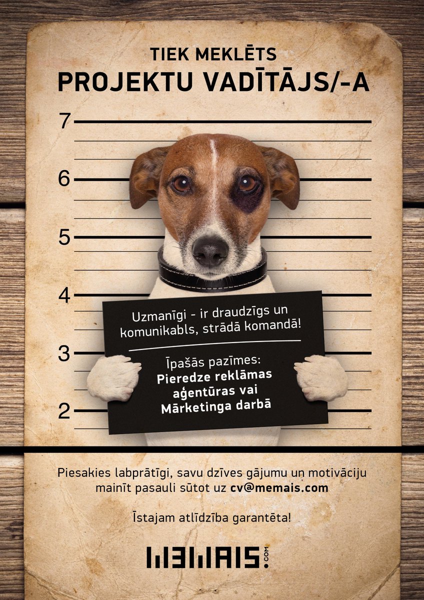 memaiscom's tweet image. Tiek meklēts Projektu vadītājs/-a! #teirdarbs