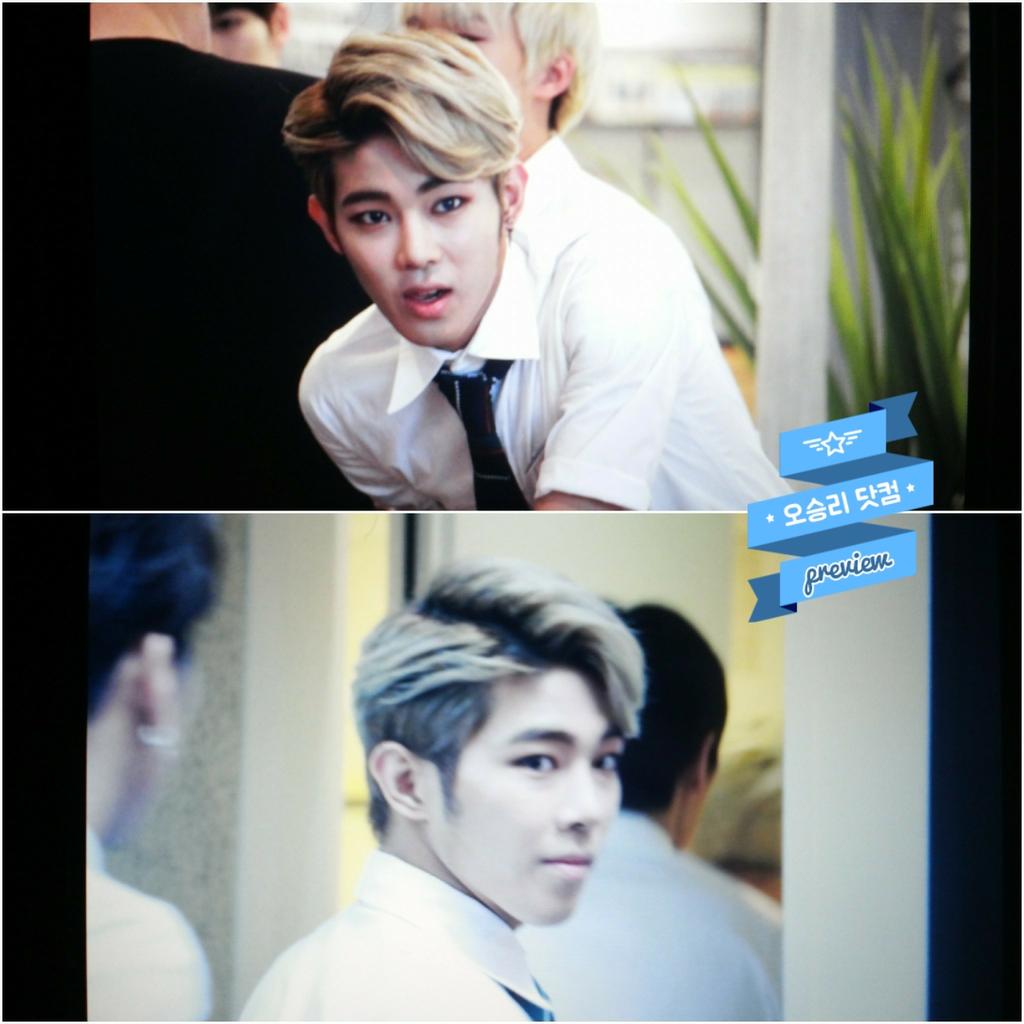 오승리닷컴 tweet media