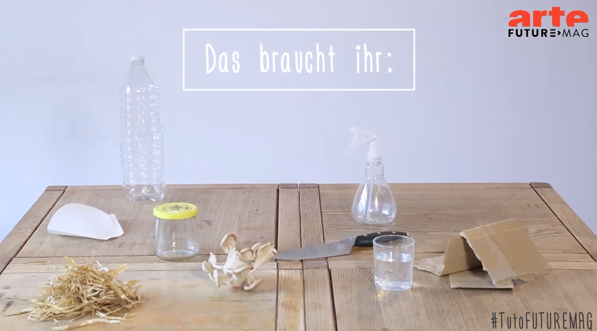 FUTUREMAGde's tweet photo. Austernpilze aus Kaffeesatz: unser #Makertutorial > http://t.co/gPfJ8NXp2d #TutoFUTUREMAG http://t.co/5ZUJN6aSnP